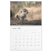 Suricates du calendrier KMP 2026 (Jan 2027)