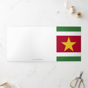 Surinaamse vlag drieluik kaart