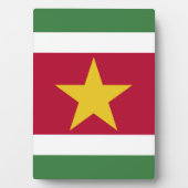 Surinaamse vlag fotoplaat (voorkant)
