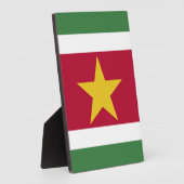 Surinaamse vlag fotoplaat (Zijkant)