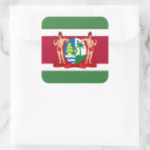Surinaamse Vlag & Wapen, Vlag van Suriname Vierkante Sticker (Tas)