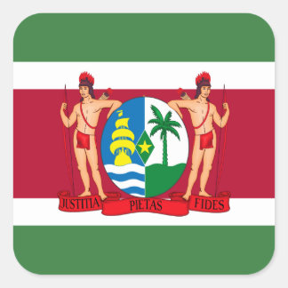 Surinaamse Vlag & Wapen, Vlag van Suriname Vierkante Sticker