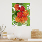 Suriname Cherries Poster (Keuken)