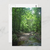 Suriname Forest Briefkaart (Voorkant / Achterkant)