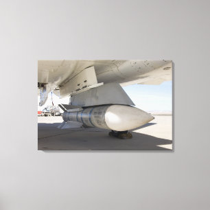 Surpluszee Phoenix-raketten Canvas Afdruk
