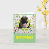 Surprise ! Carte de voeux d'anniversaire berger al (Fleur jaune)