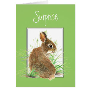 Surprise, tu reçois une note de moi, Rabbit