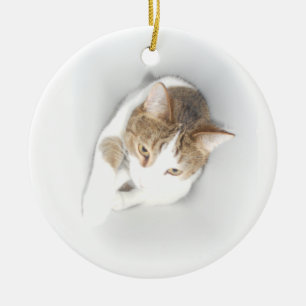 Surreal Cat in het licht Keramisch Ornament