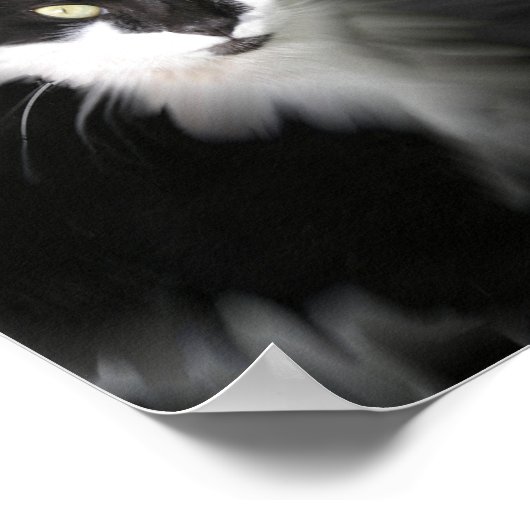 Surreal Cat Print (Hoek)