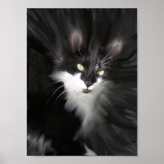 Surreal Cat Print (Voorkant)