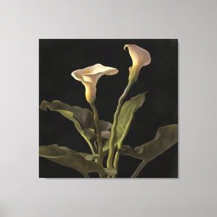 Surreal Easter Lilies op een zwarte achtergrond Canvas Afdruk