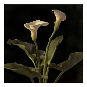 Surreal Easter Lilies op een zwarte achtergrond Perfect Poster