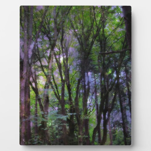 Surreal Forest met milde lampjes Fotoplaat (Voorkant)