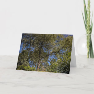 Surreal Tree Blank Kaart