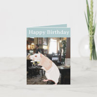 Surrealistische bewerkbare rat ober