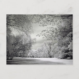 Surrealistische valse kleur infrarood lente landsc briefkaart