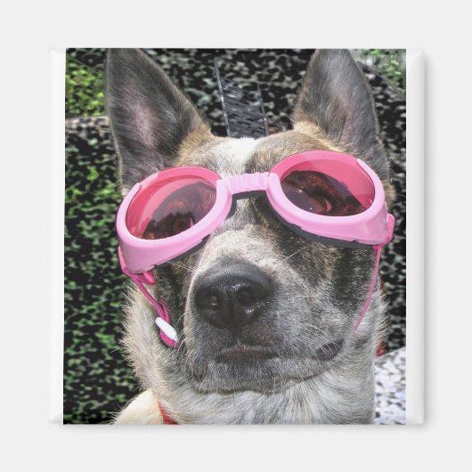 Surrey Magnet (Devant)