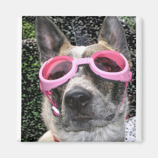 Surrey Magnet Magneet