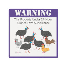 Surveillance de pintade !
