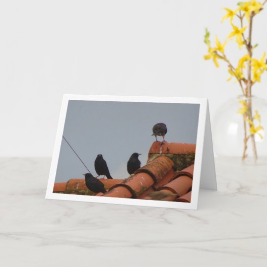 Surveiller les oiseaux sur la carte du toit (Fleur jaune)