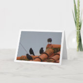 Surveiller les oiseaux sur la carte du toit (Devant)