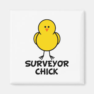 Surveyor Chick Magneet