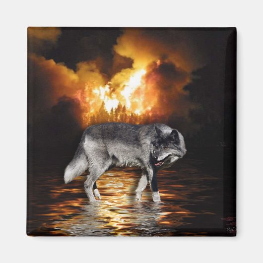 "Survivant" Gray Wolf Magnet (Devant)