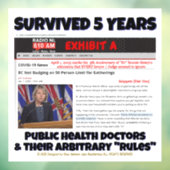 Survived 5 Years beroemd gemaakt door RoseWrites W Raamsticker (Vel 3)