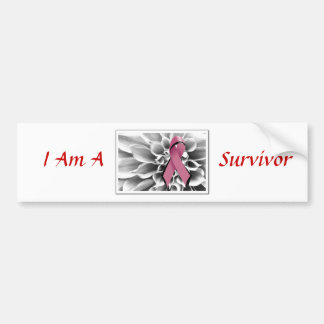 Survivor Bumpersticker