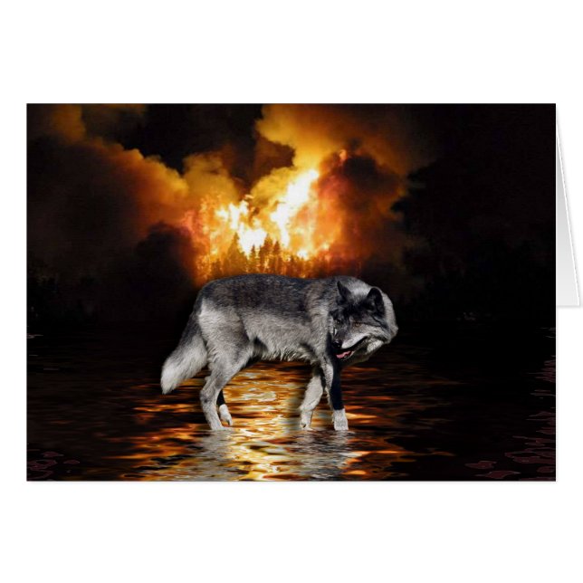 "Survivor" Gray Wolf Wildlife Gifts (Voorkant Horizontaal)