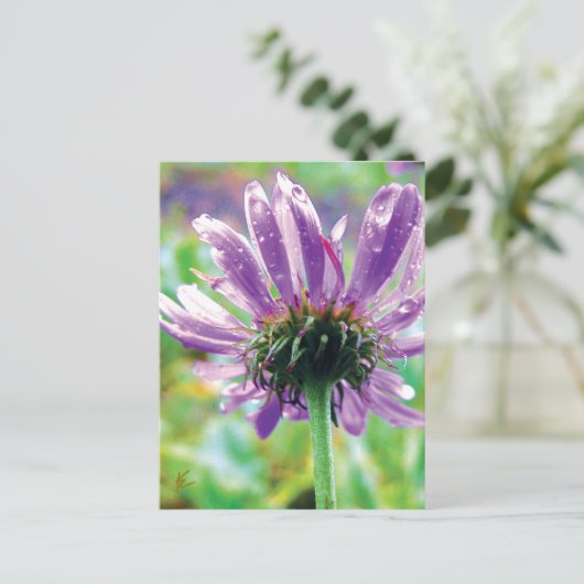 Survivor, Purple Flower with Dew Briefkaart (Staand voorkant)
