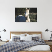 Survivor ~ Wild Iconic Stallion van Steens Canvas (Insitu (Slaapkamer))