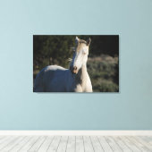 Survivor ~ Wild Iconic Stallion van Steens Canvas Afdruk (Insitu (Houten vloer))