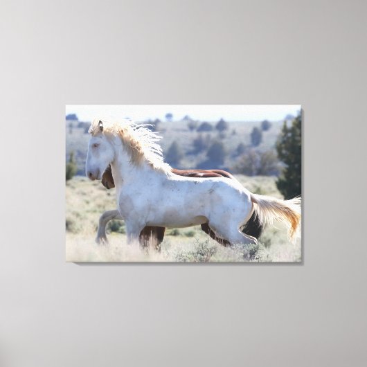 Survivor Wrapped Canvas (Voorkant)