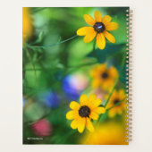 Susan aux yeux noirs (Dos)