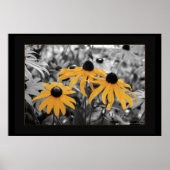 Susan Drie Poster (Voorkant)