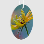 Susan Noir-eyed (devant)