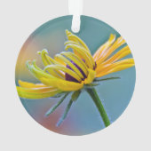 Susan Noir-eyed (dos)