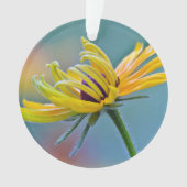 Susan Noir-eyed (devant)