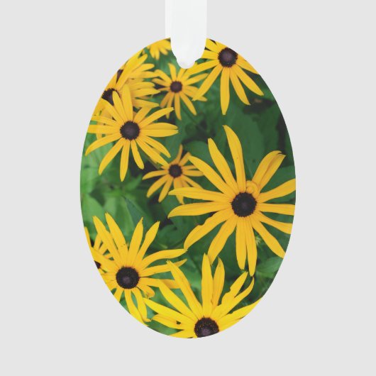 Susans aux yeux noirs (devant)