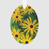 Susans aux yeux noirs (dos)