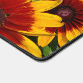 Susans aux yeux noirs (Coin)