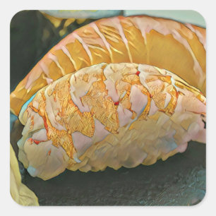 Sushi minachting cadeau vierkante sticker