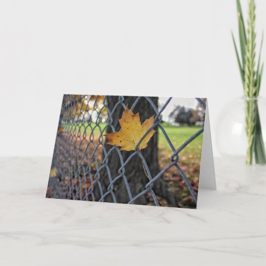 Suspendu dans le temps Carte vierge originale (Devant)