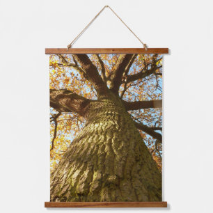 Suspendue Arbre de chêne suspendu tapisserie