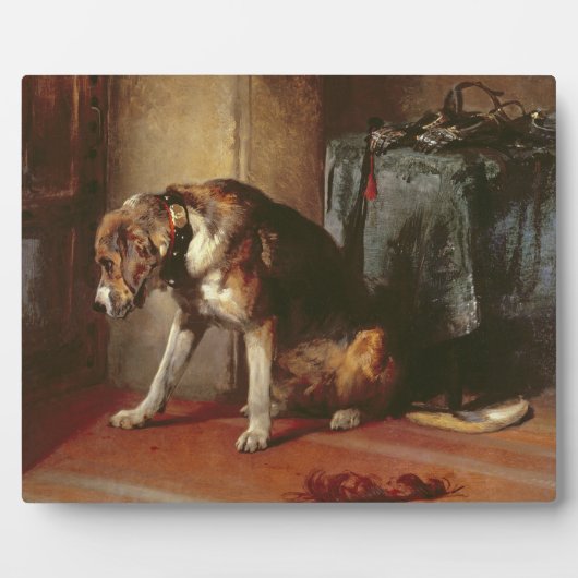 Suspensie Fotoplaat (Voorkant)