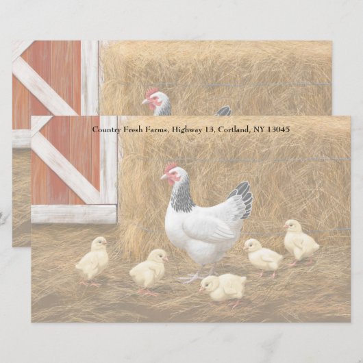 Sussex Chicken Mama Hen en Chicken Chicken Briefpapier (Voorkant / Achterkant)