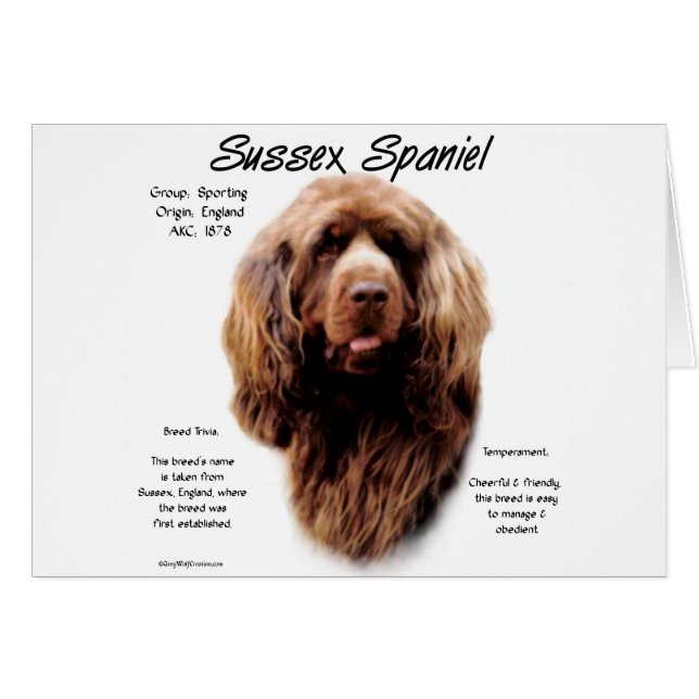 Sussex Spaniel Geschiedenis Ontwerp (Voorkant Horizontaal)