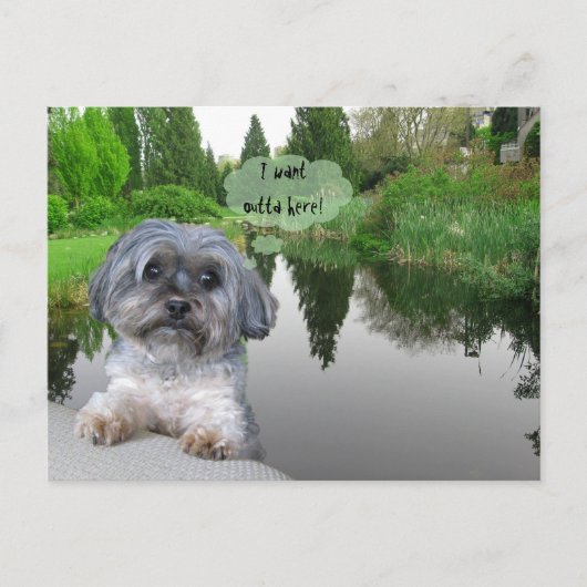 Sutcliffe Park, Vancouver, BC-Briefkaart Briefkaart (Voorkant)