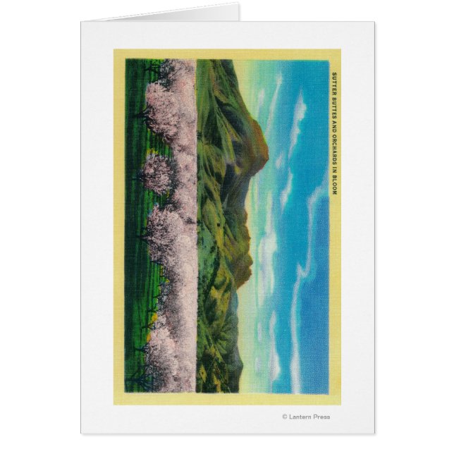 Sutter Buttes and Orchards in Bloom (Voorkant)